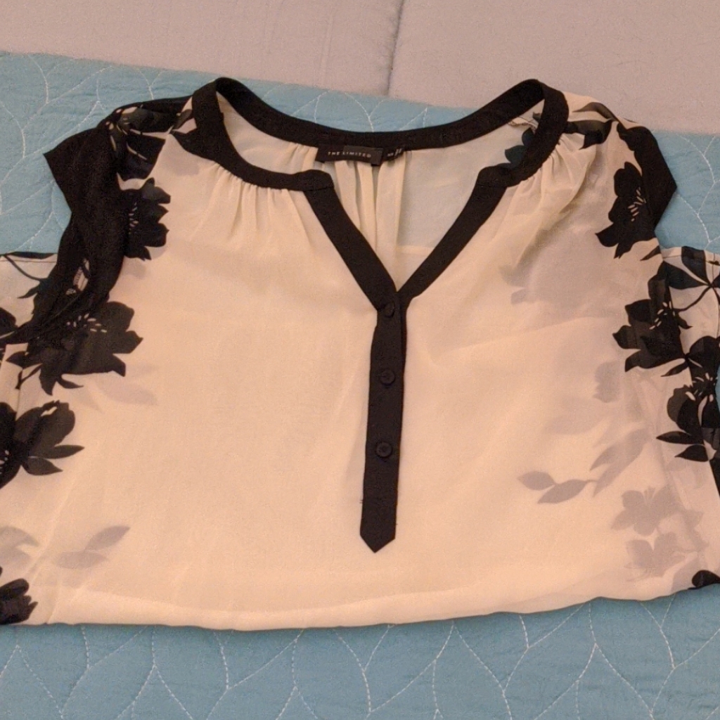Limited Brand Black And White Sheer Limited Brand Blouse